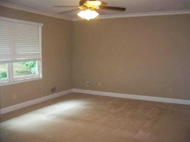 165 Rollingbrook Trl, Tyrone, GA 30290 photo 14