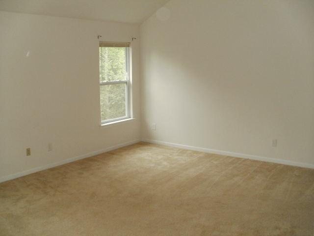 11635 Kades Trl, Hampton, GA 30228 photo 6