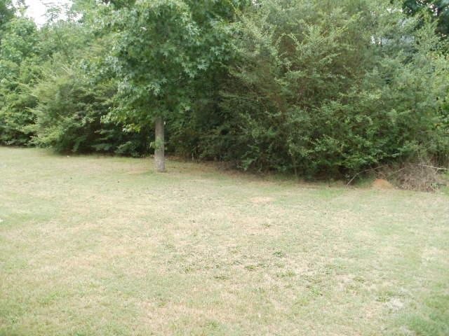 11635 Kades Trl, Hampton, GA 30228 photo 10