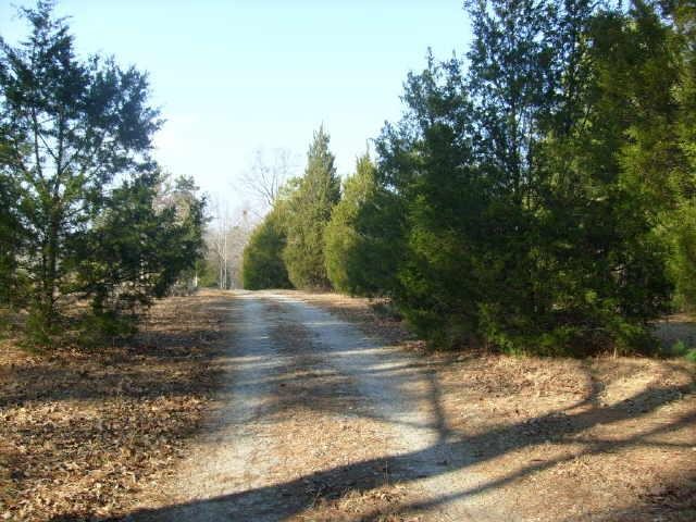 3261 Clack Rd, Madison, GA 30650 photo 2