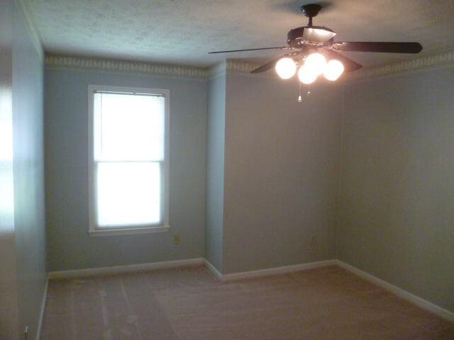 3867 Centennial Trl, Duluth, GA 30096 photo 7