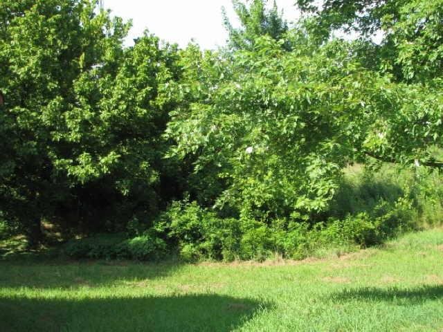 251 Robin Rd, Jasper, GA 30143 photo 16