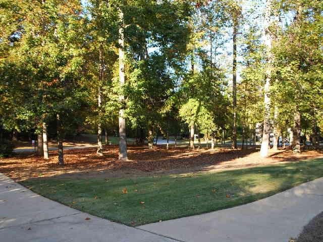 220 Pendleton Trl, Tyrone, GA 30290 photo 2