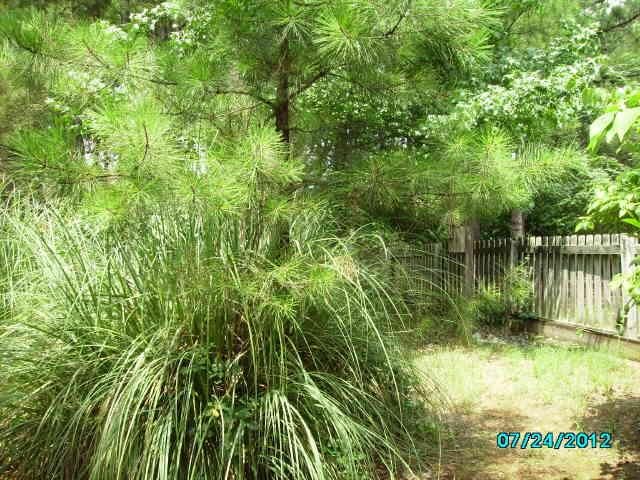 30 Flowers Dr, Covington, GA 30016 photo 5