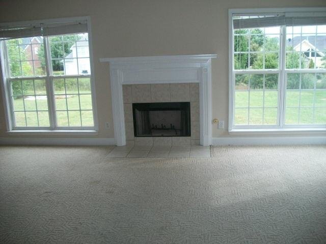 101 Haskell Ct, Mcdonough, GA 30253 photo 5