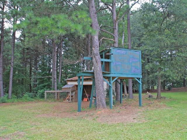 187 Dean Patrick Rd, Jackson, GA 30233 photo 14