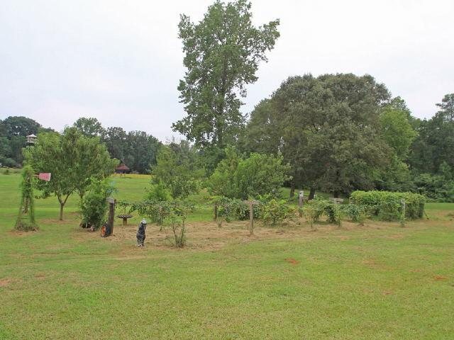 187 Dean Patrick Rd, Jackson, GA 30233 photo 16