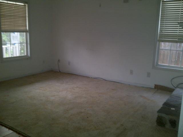 1393 N Hampton Dr, Hampton, GA 30228 photo 2