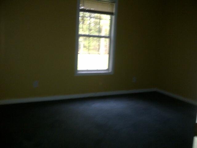 1393 N Hampton Dr, Hampton, GA 30228 photo 5