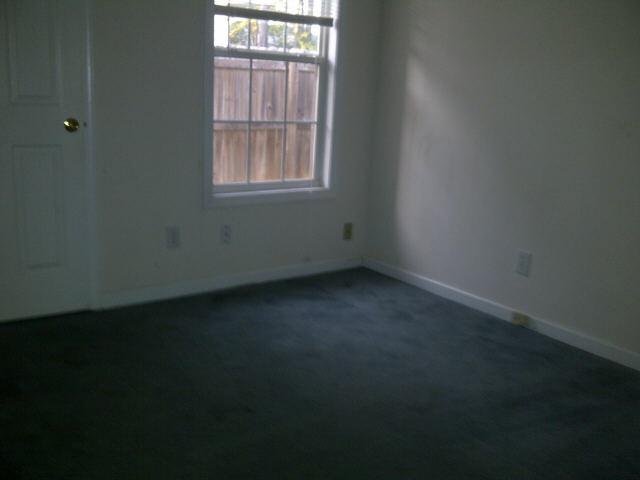 1393 N Hampton Dr, Hampton, GA 30228 photo 3