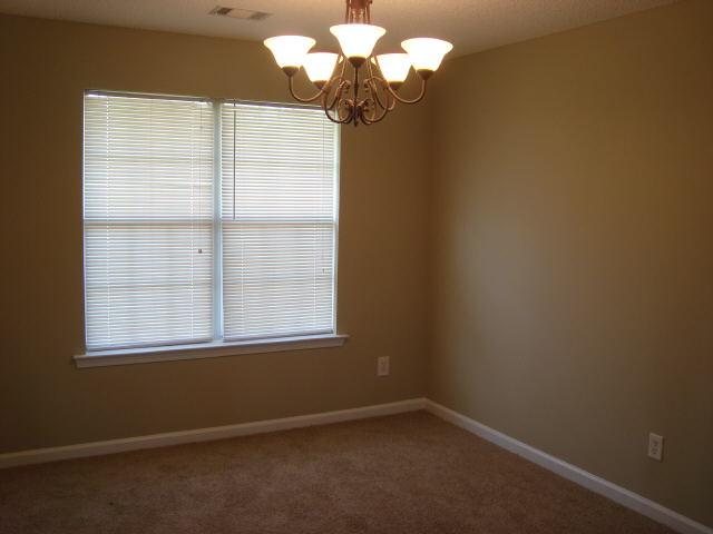 212 River View Ct, Hampton, GA 30228 photo 6