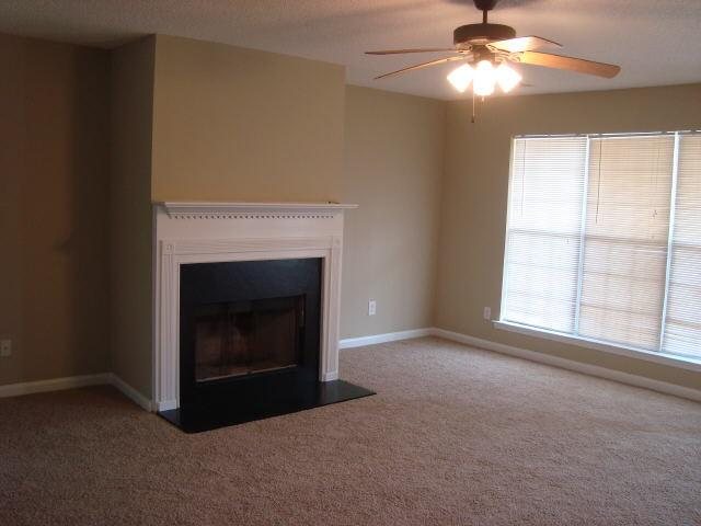 212 River View Ct, Hampton, GA 30228 photo 9