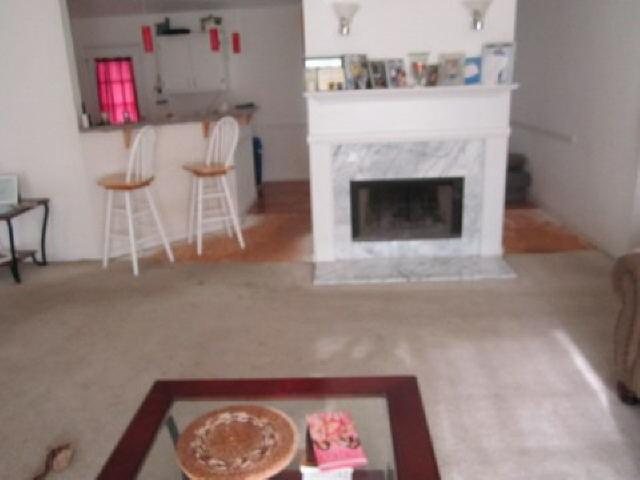 1364 Daffodil Ln, Hampton, GA 30228 photo 11
