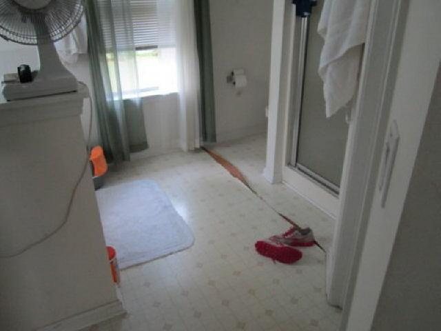 1364 Daffodil Ln, Hampton, GA 30228 photo 2