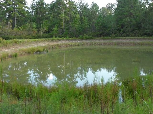 113 Needle Pointe Dr, Guyton, GA 31312 photo 9