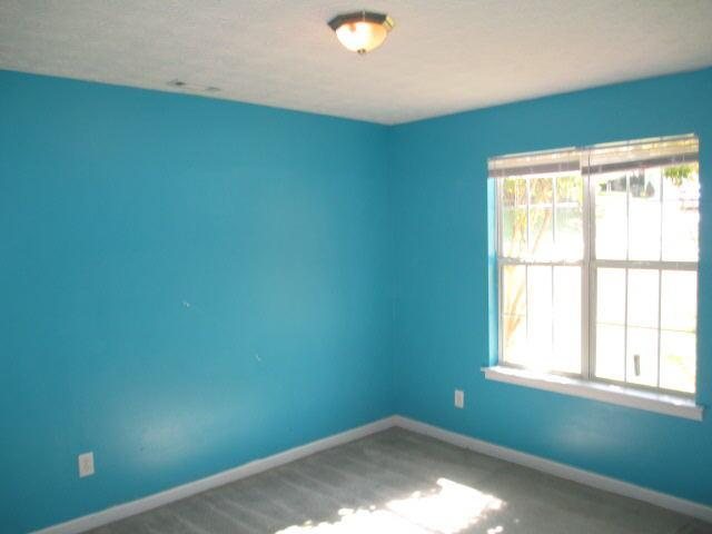 55 Riverside, Hampton, GA 30228 photo 8