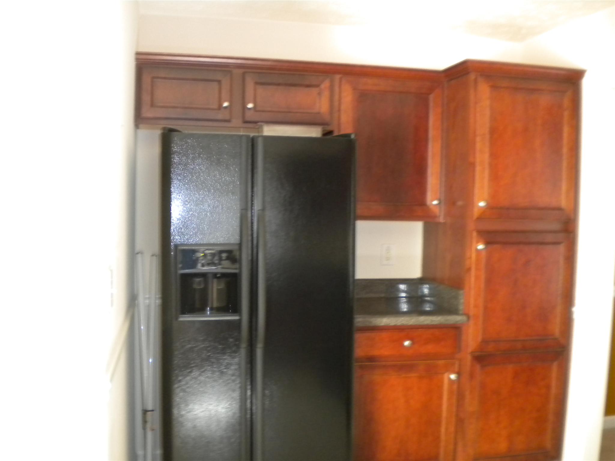 171 Windpher Rdg, Hampton, GA 30228 photo 3