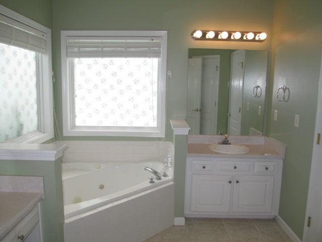 219 Hampton Shores Dr, Hampton, GA 30228 photo 8