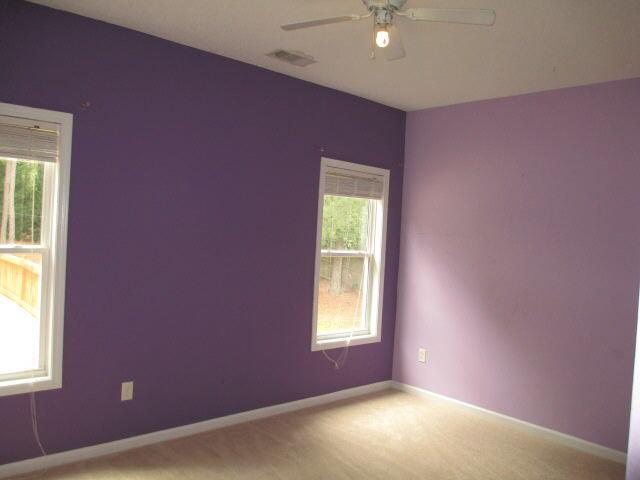 219 Hampton Shores Dr, Hampton, GA 30228 photo 10
