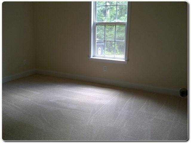 110 Brooks Cir, Hampton, GA 30228 photo 4