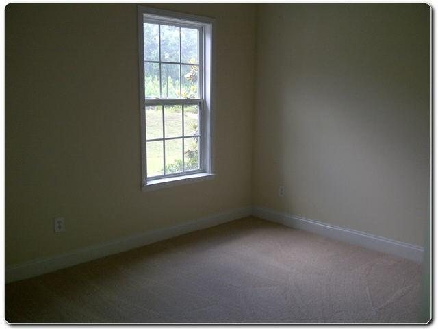 110 Brooks Cir, Hampton, GA 30228 photo 3