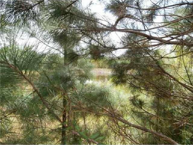 103 Riley Ct, Springfield, GA 31329 photo 1