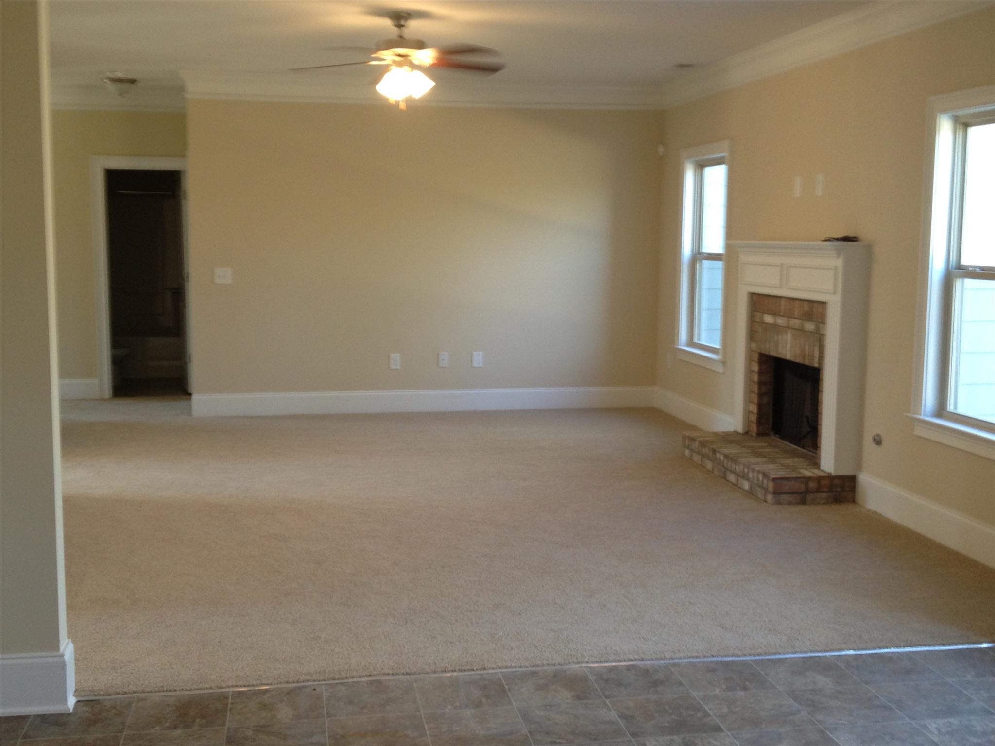 909 Damson Trl, Hampton, GA 30228 photo 7