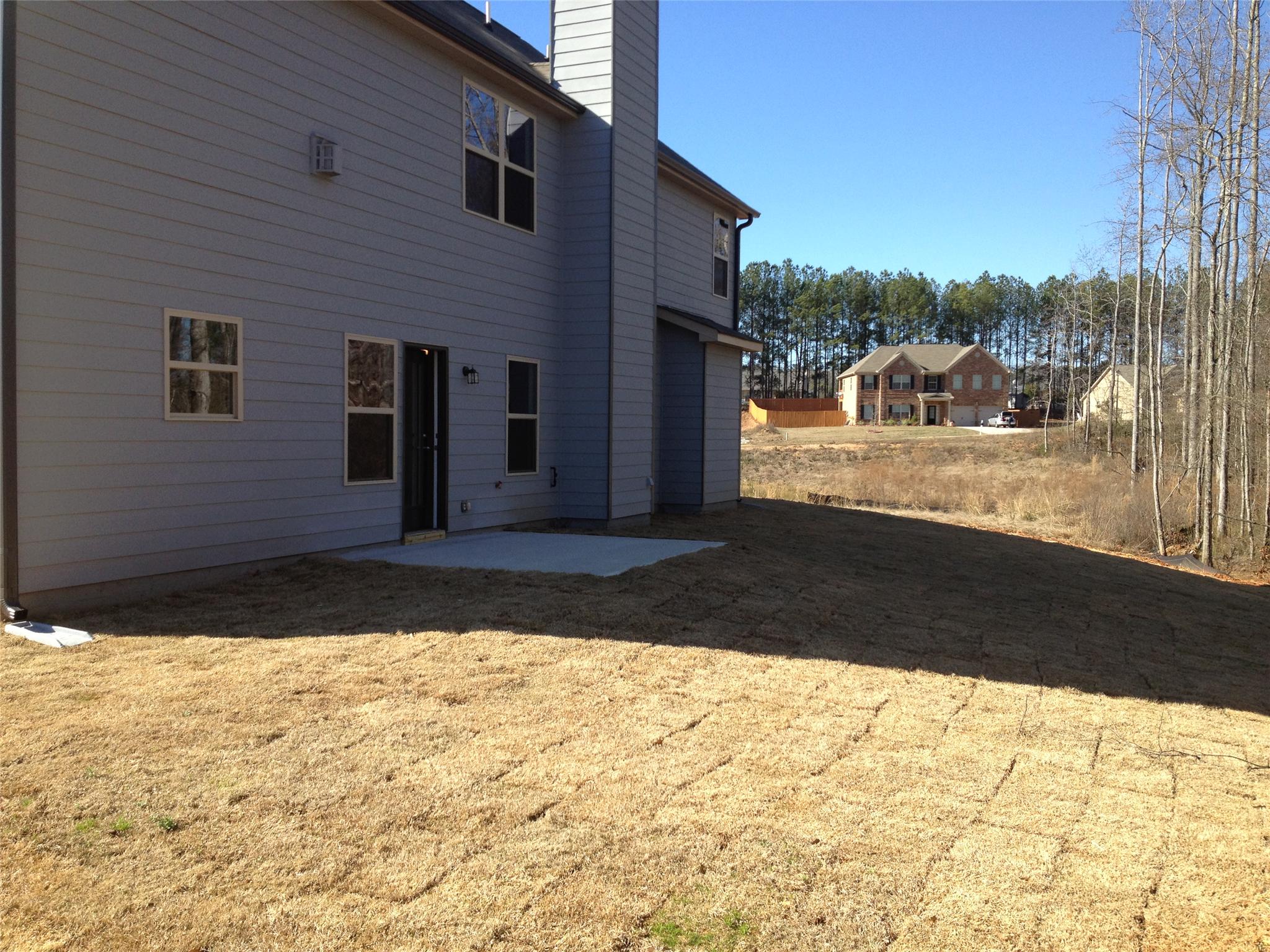 909 Damson Trl, Hampton, GA 30228 photo 10
