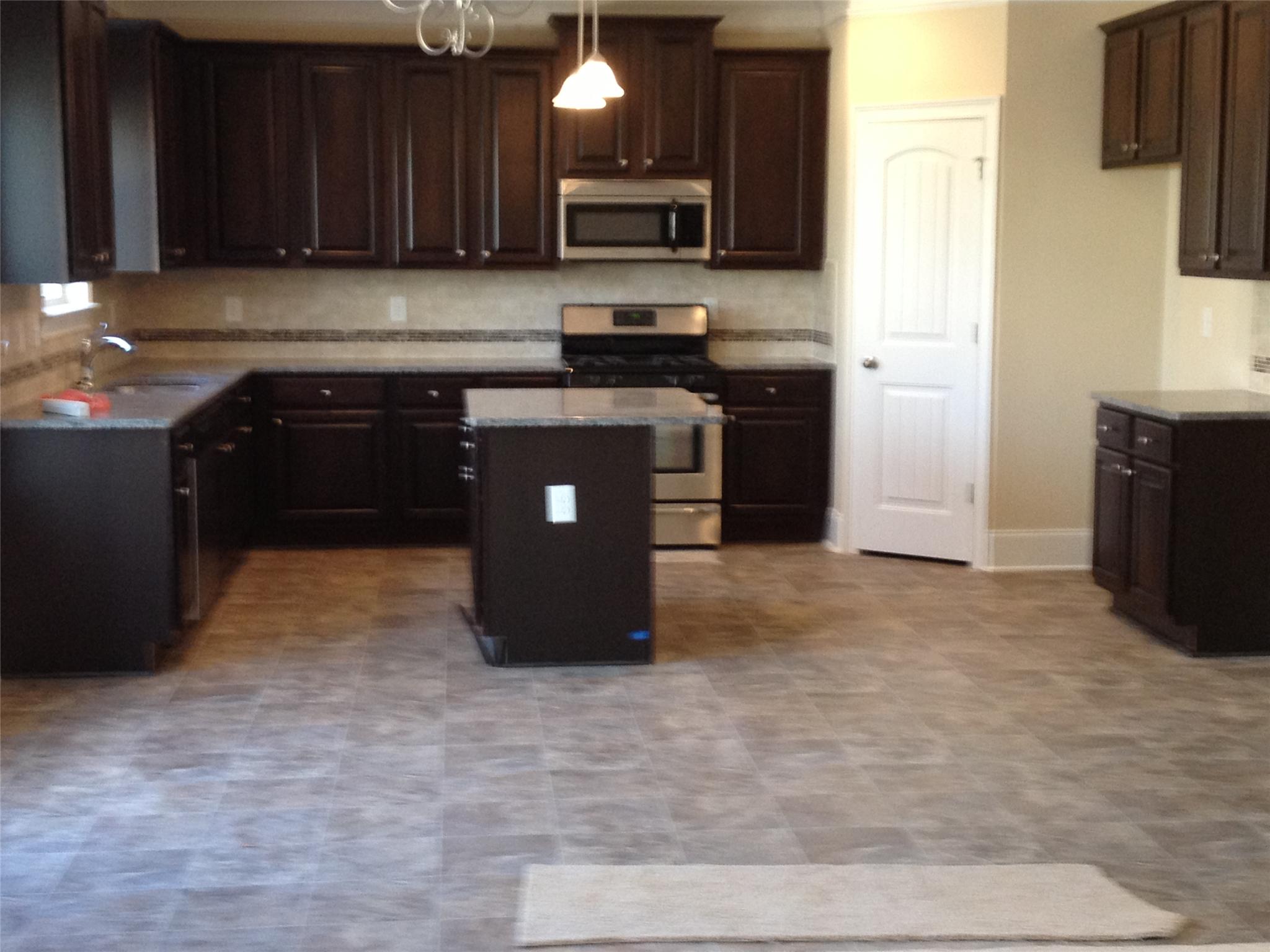 909 Damson Trl, Hampton, GA 30228 photo 2