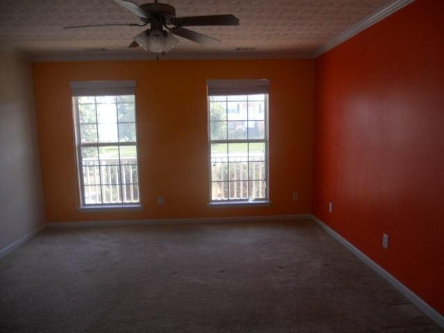 458 Limerick Way, Hampton, GA 30228 photo 7