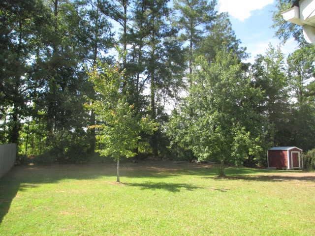 168 Galway Ln, Hampton, GA 30228 photo 10
