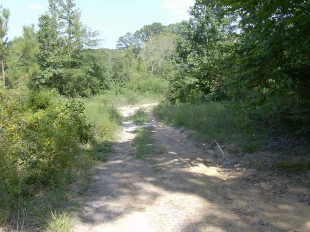 155 Fields Rd, Cedartown, GA 30125 photo 3