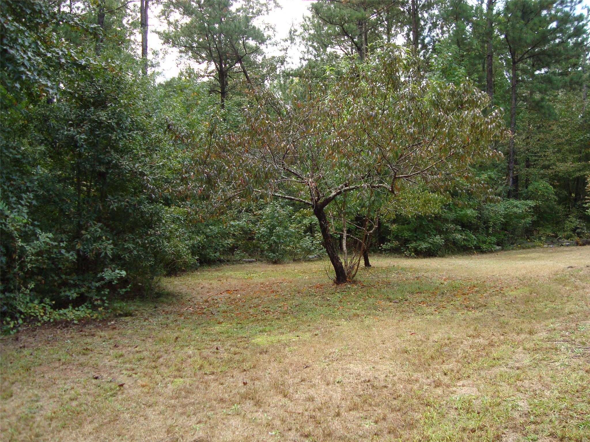 265 Moccasin Gap Rd, Jackson, GA 30233 photo 21