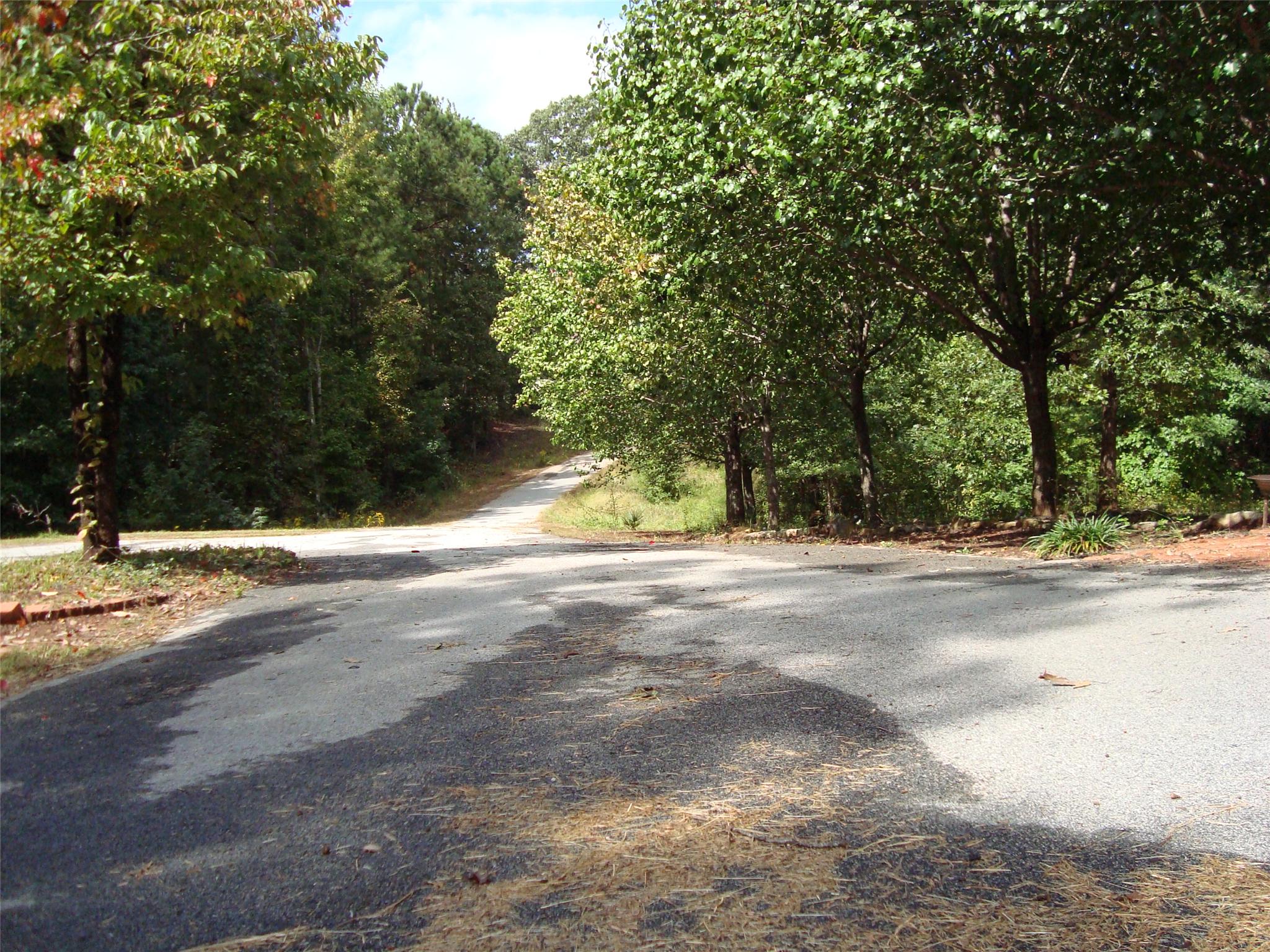 265 Moccasin Gap Rd, Jackson, GA 30233 photo 6