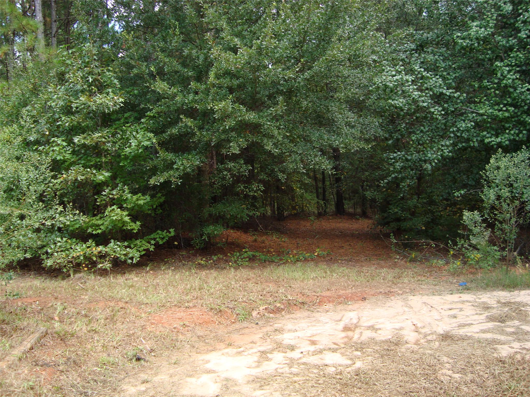 265 Moccasin Gap Rd, Jackson, GA 30233 photo 20