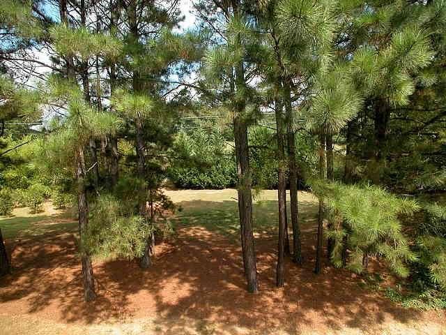10752 Brent Cir, Duluth, GA 30097 photo 16