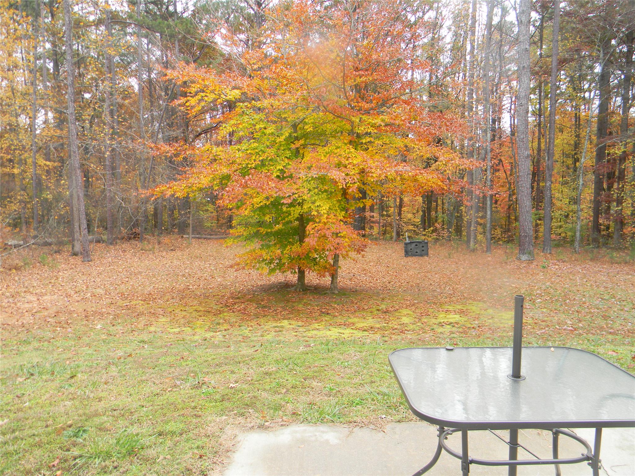 84 Jt Wallace Rd, Covington, GA 30014 photo 2