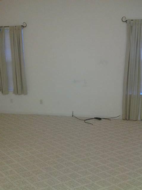 1426 Hyde Ct, Hampton, GA 30228 photo 13