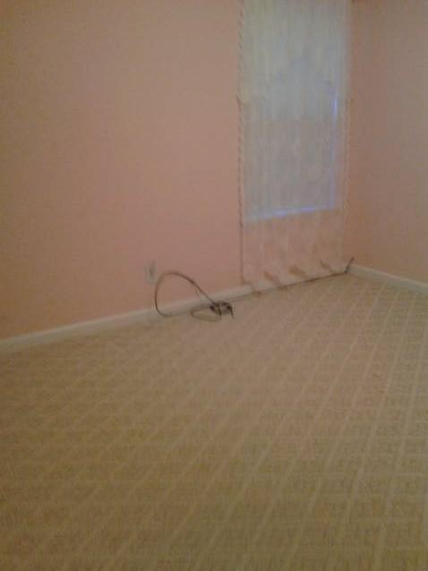 1426 Hyde Ct, Hampton, GA 30228 photo 4