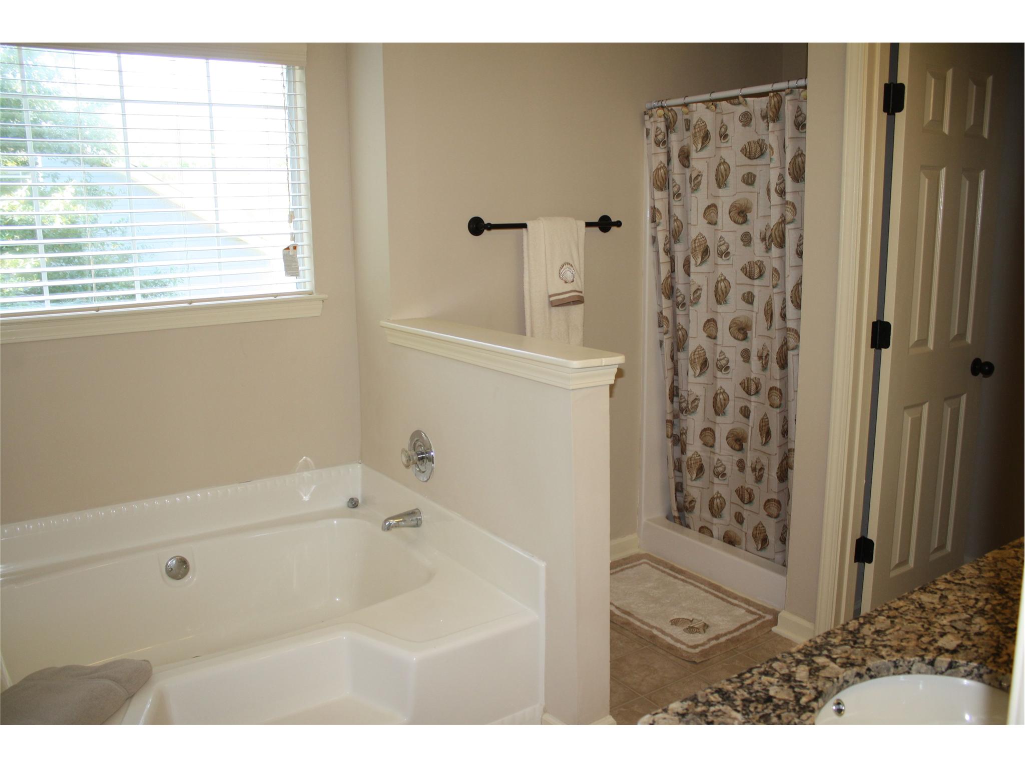 146 River Trace Ct, Mcdonough, GA 30253 photo 4