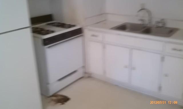 4463 Ryan Rd, Conley, GA 30288 photo 2