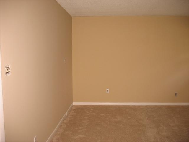 168 Abbey Ln, Toccoa, GA 30577 photo 10