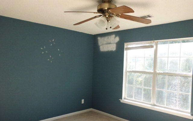 10669 Barberry Dr, Hampton, GA 30228 photo 8