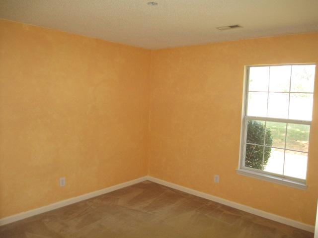 2745 Rosecommons Dr, Hampton, GA 30228 photo 9