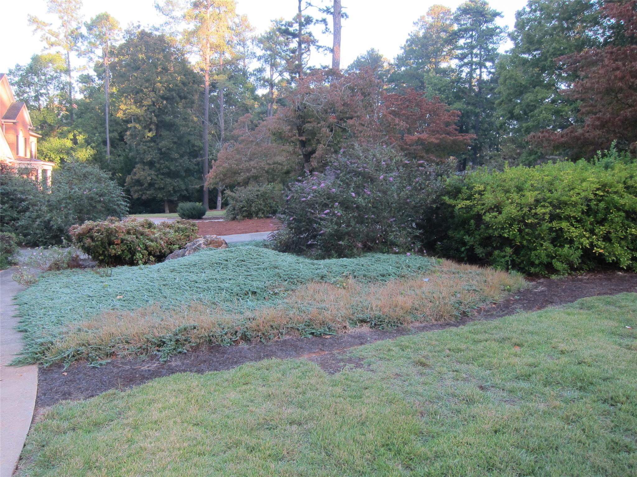 248 Moss Side Dr, Athens, GA 30607 photo 24