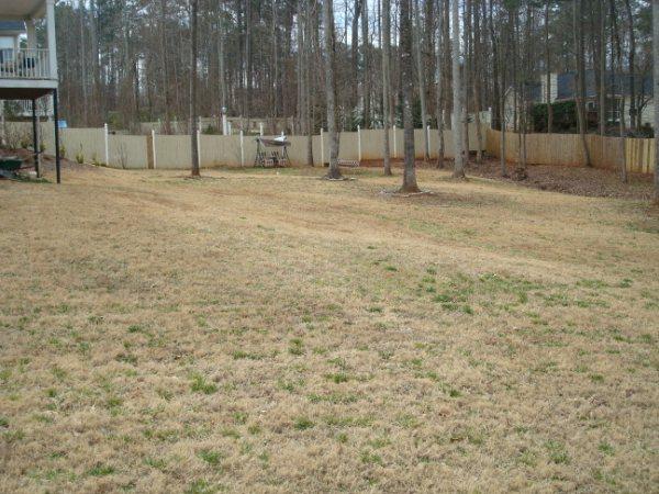 95 Winchester Dr, Covington, GA 30016 photo 9