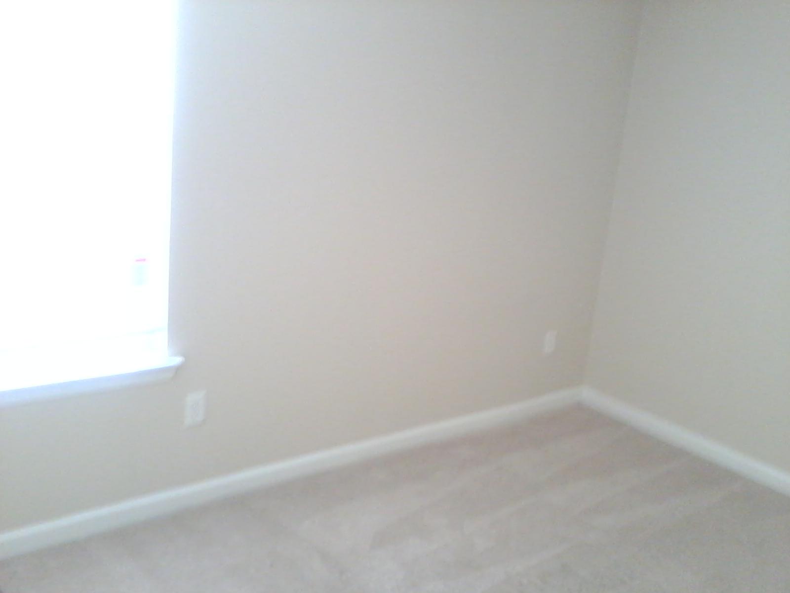 11903 Quail Rd, Lovejoy, GA 30250 photo 11