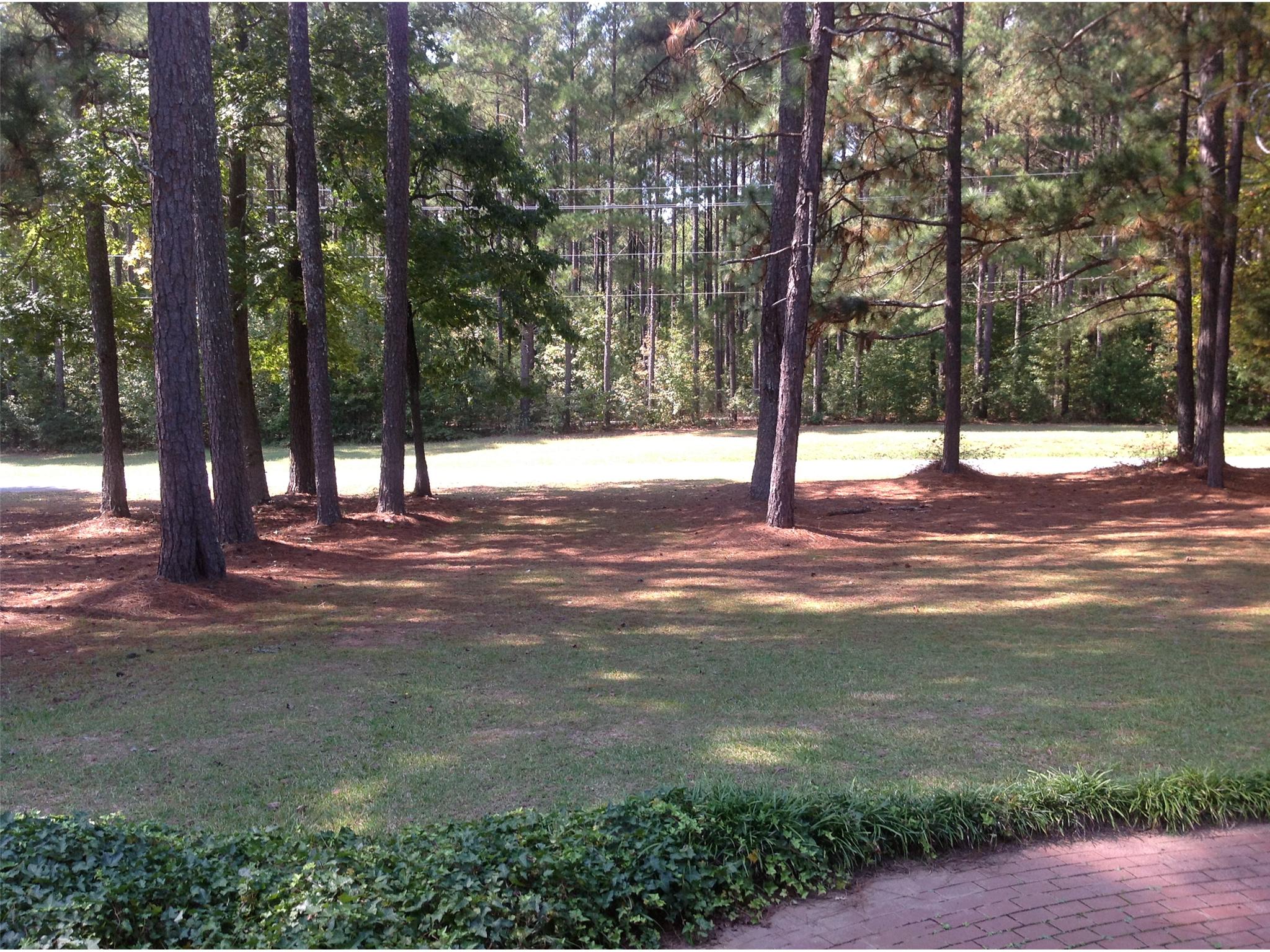 111 Honeysuckle Ln, Barnesville, GA 30204 photo 2