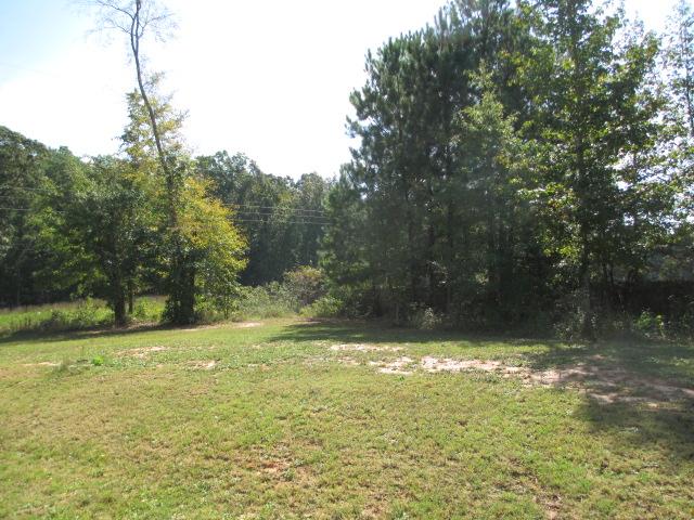 12920 Wyatt Cir, Hampton, GA 30228 photo 14