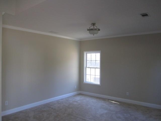 12920 Wyatt Cir, Hampton, GA 30228 photo 6
